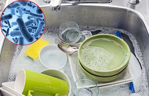 Hóa chất tồn dư ảnh hưởng đến hệ vi sinh đường ruột ra sao?